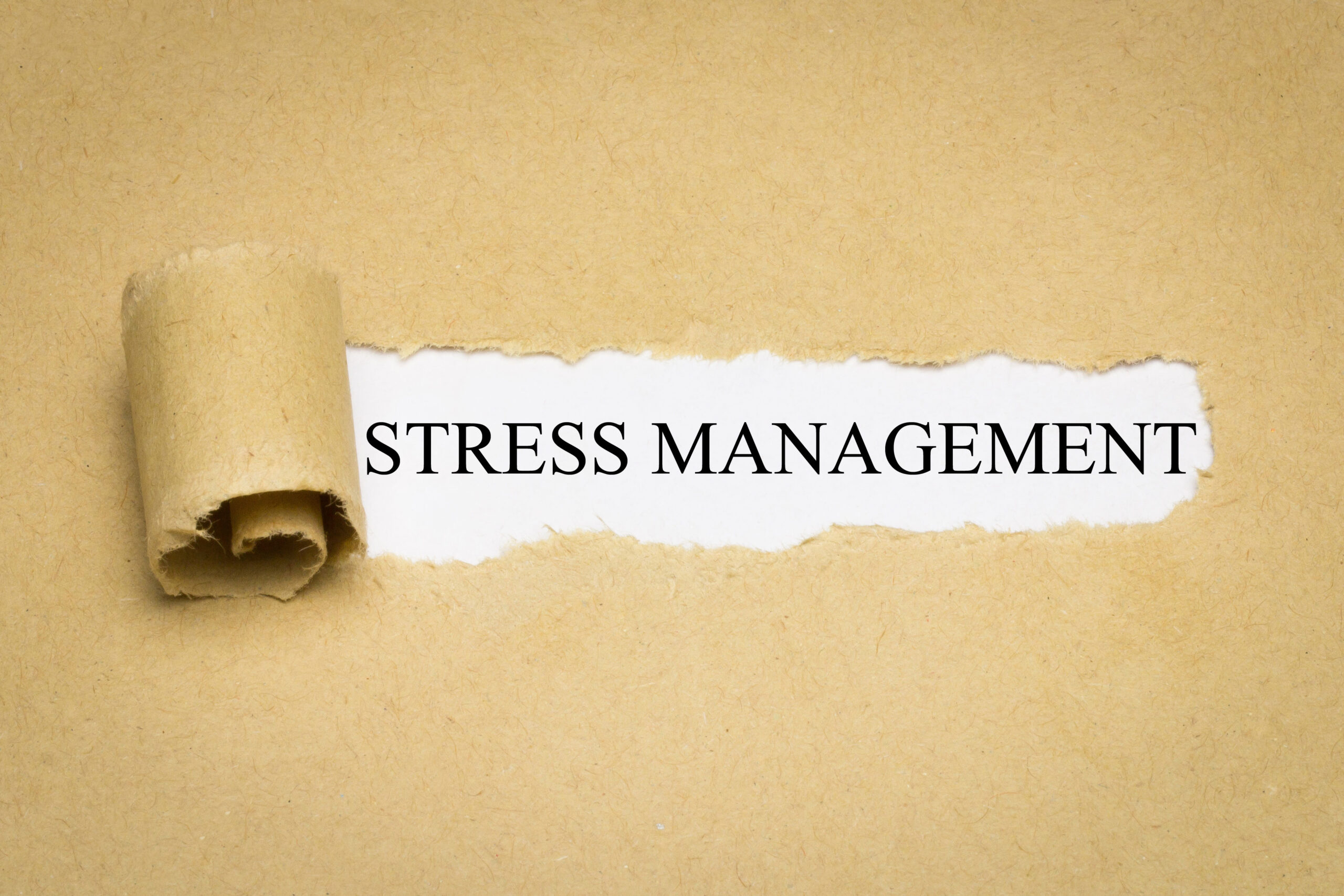 Outline of comprehensive stress management program Korean  Download  Scientific Diagram